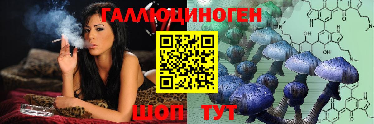 Галлюциногенные грибы Cubensis Чернушка