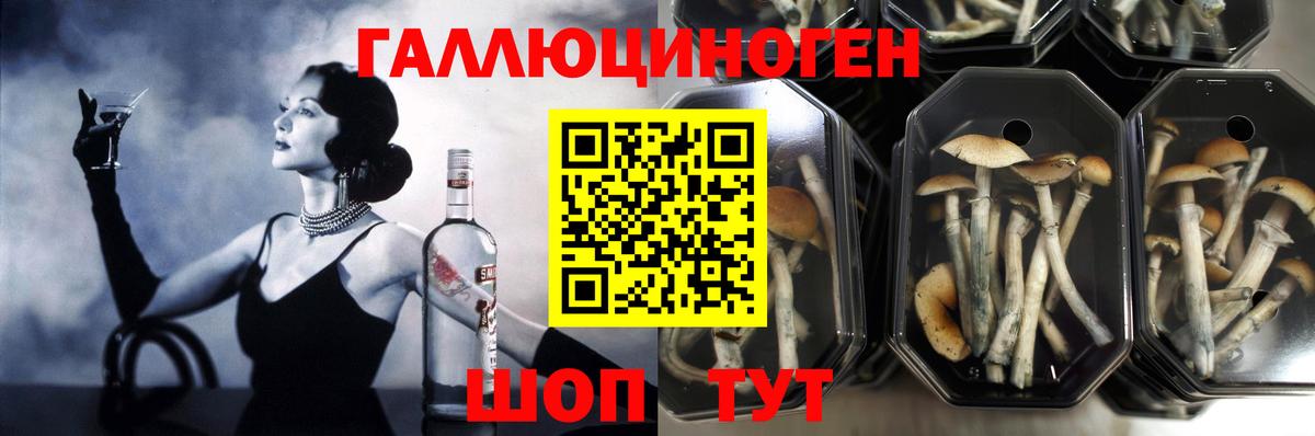 Галлюциногенные грибы Cubensis  Вход с VPN  Чернушка 