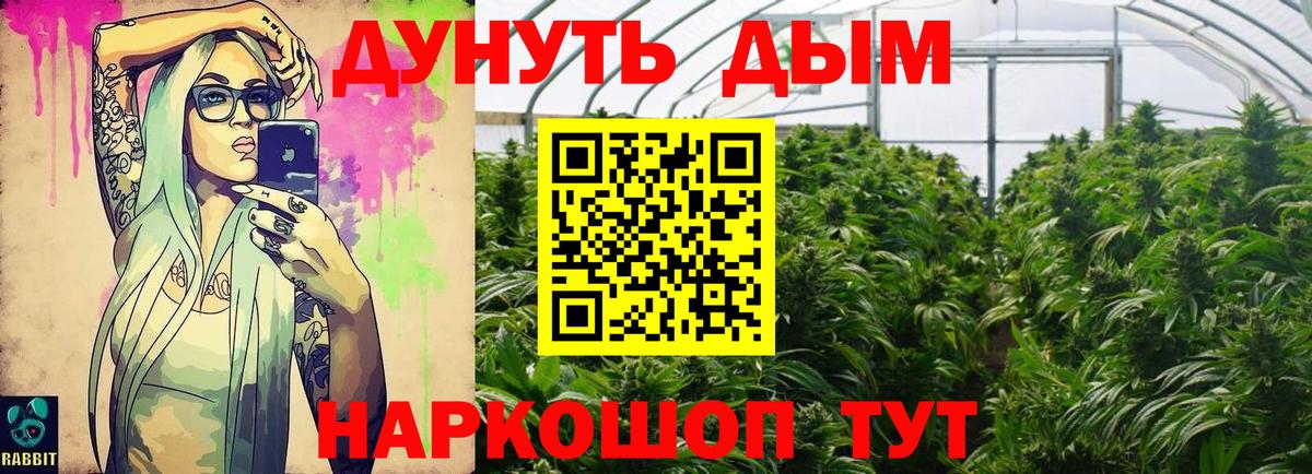 Каннабис семена Чернушка